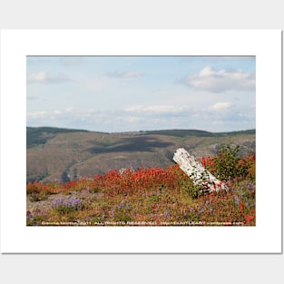 dead tree & paintbrush wildflowers on Johnston's Ridge Posters and Art